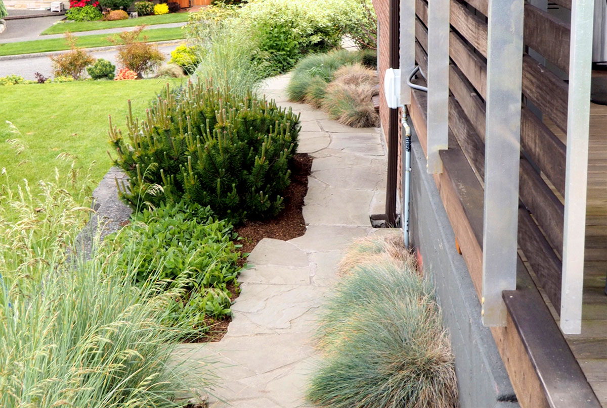Side Garden With Zig-zag  Paving and Soft Grasses and Perennials